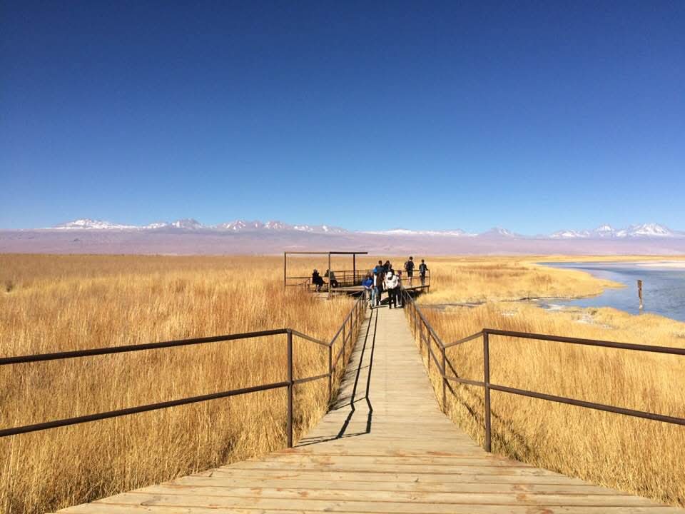 Grupo de viajantes no Salar de Atacama com os Andes ao fundo